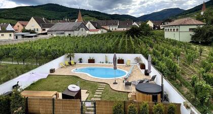 Alsacebnb - Gîte Avec Piscine Privée et spa