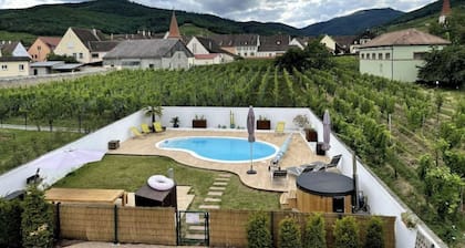 Alsacebnb - Gîte Avec Piscine Privée et spa