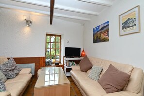 Smart TV, fireplace, books