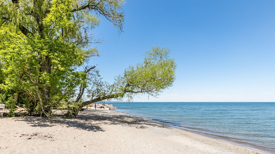 GLOBALSTAY. Waterfront 5BR Townhouse. Private HOT TUB, Gym, Sauna