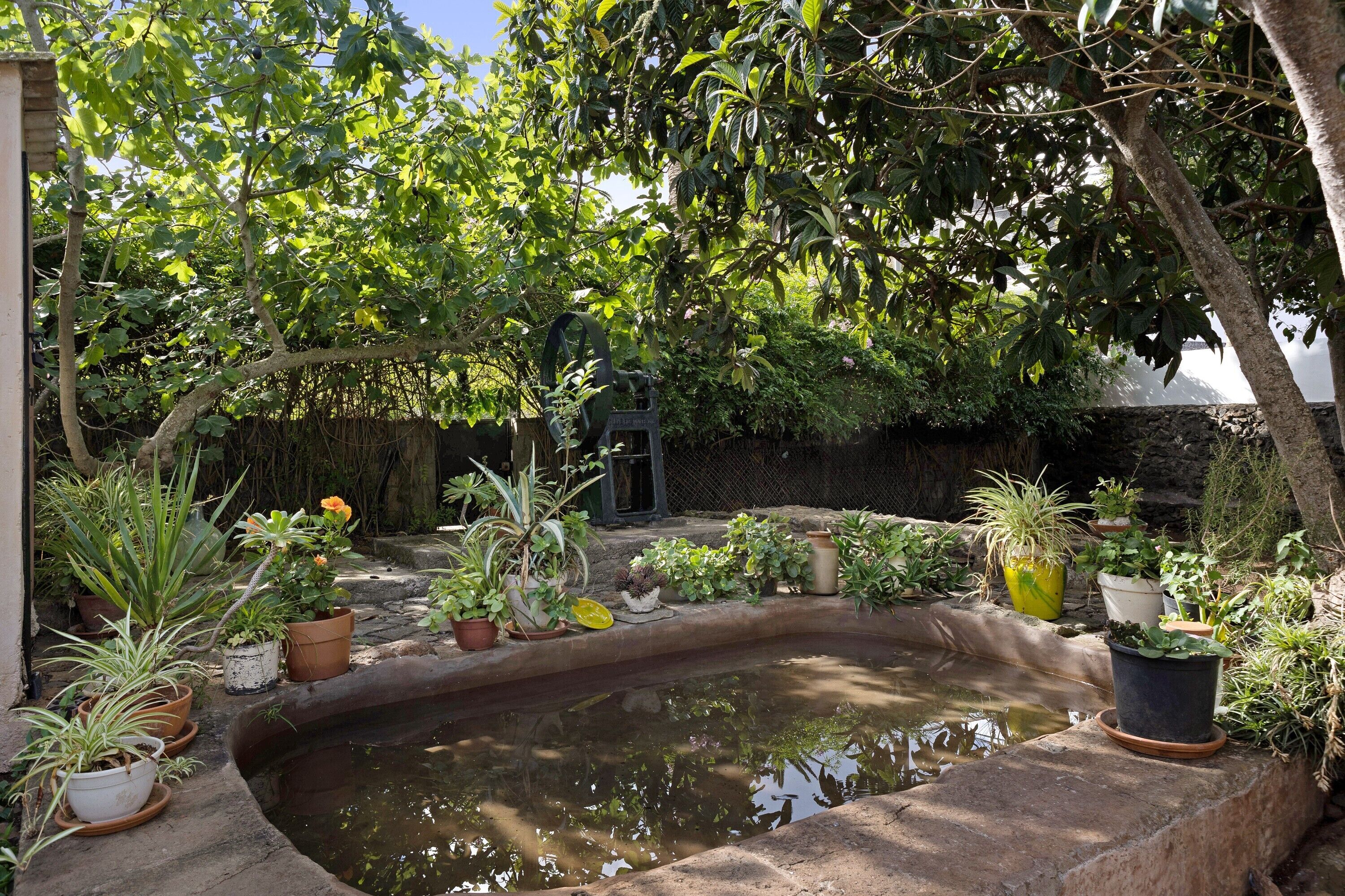 Overnatningsstedets område