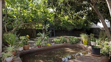 Overnatningsstedets område