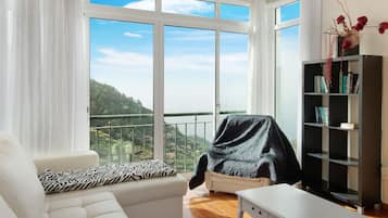 TV, fireplace, DVD player