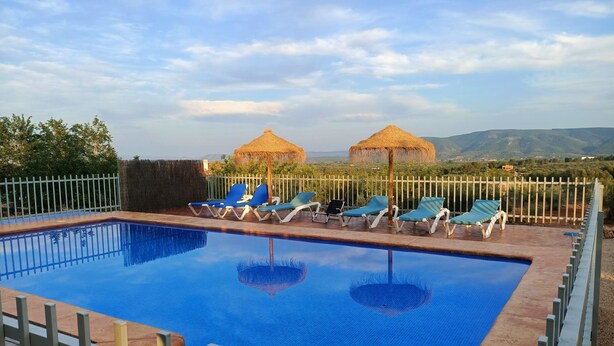 Ein Swimmingpool mit blauen Fliesen, umgeben von einem Metallzaun, mit mehreren Liegestühlen und Reetdachschirmen.