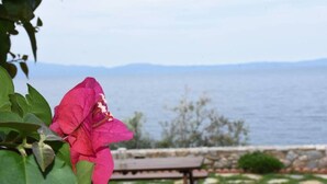 A pink flower in the foreground with a bench and a stone pathway in the background leading to a body of water. - Artemis Apartment with Stunning view (Almyros)