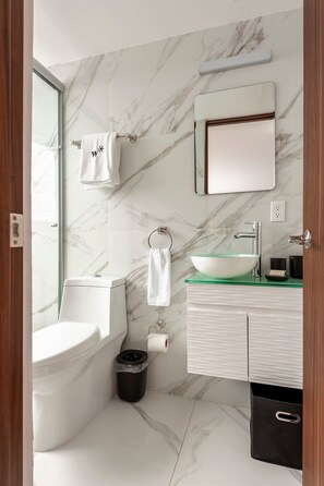 Shower, hair dryer, towels