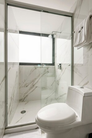 Shower, hair dryer, towels