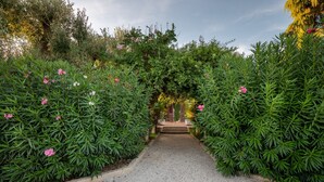 Un sendero bordeado de frondosa vegetación verde y flores rosadas que conduce a la entrada de un edificio.