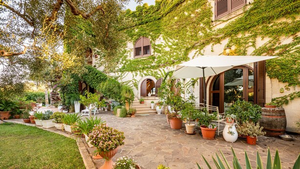 Un patio con plantas en macetas, un sendero de piedra y un edificio con ventanas arqueadas y una puerta.