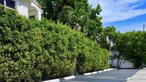 A parking lot adjacent to a building with a lush green hedge. - Oasis-15 5 MIN FROM MIAMI BEACH, Studio, Miami Design District & Wynwood (Miami)