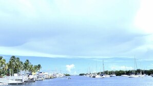 A marina with multiple boats docked, palm trees, and a clear sky. - THE GROVE 1  10 MIN FROM THE BEACH. In the heart of Coconut Grove. CocoWalk (Miami)