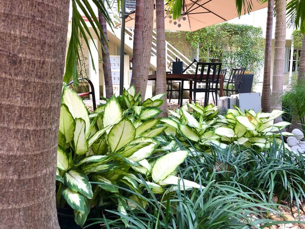 Restaurante al aire libre