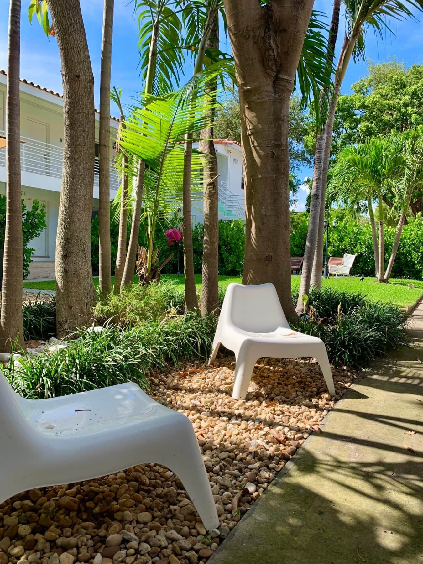A garden area with two white plastic chairs, a pathway, and palm trees.