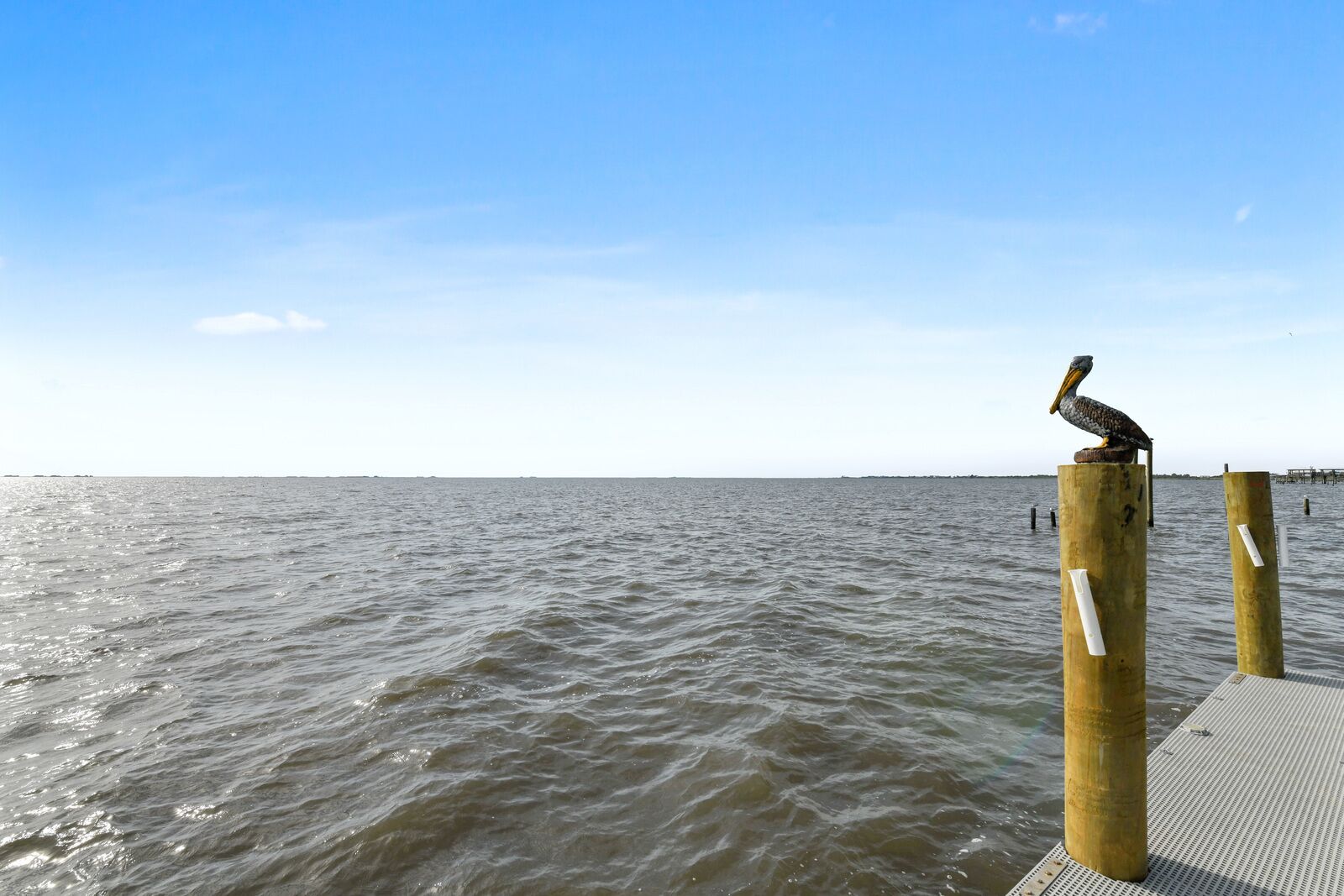 Un muelle de madera que se adentra en el agua, con un pelícano posado en un poste.