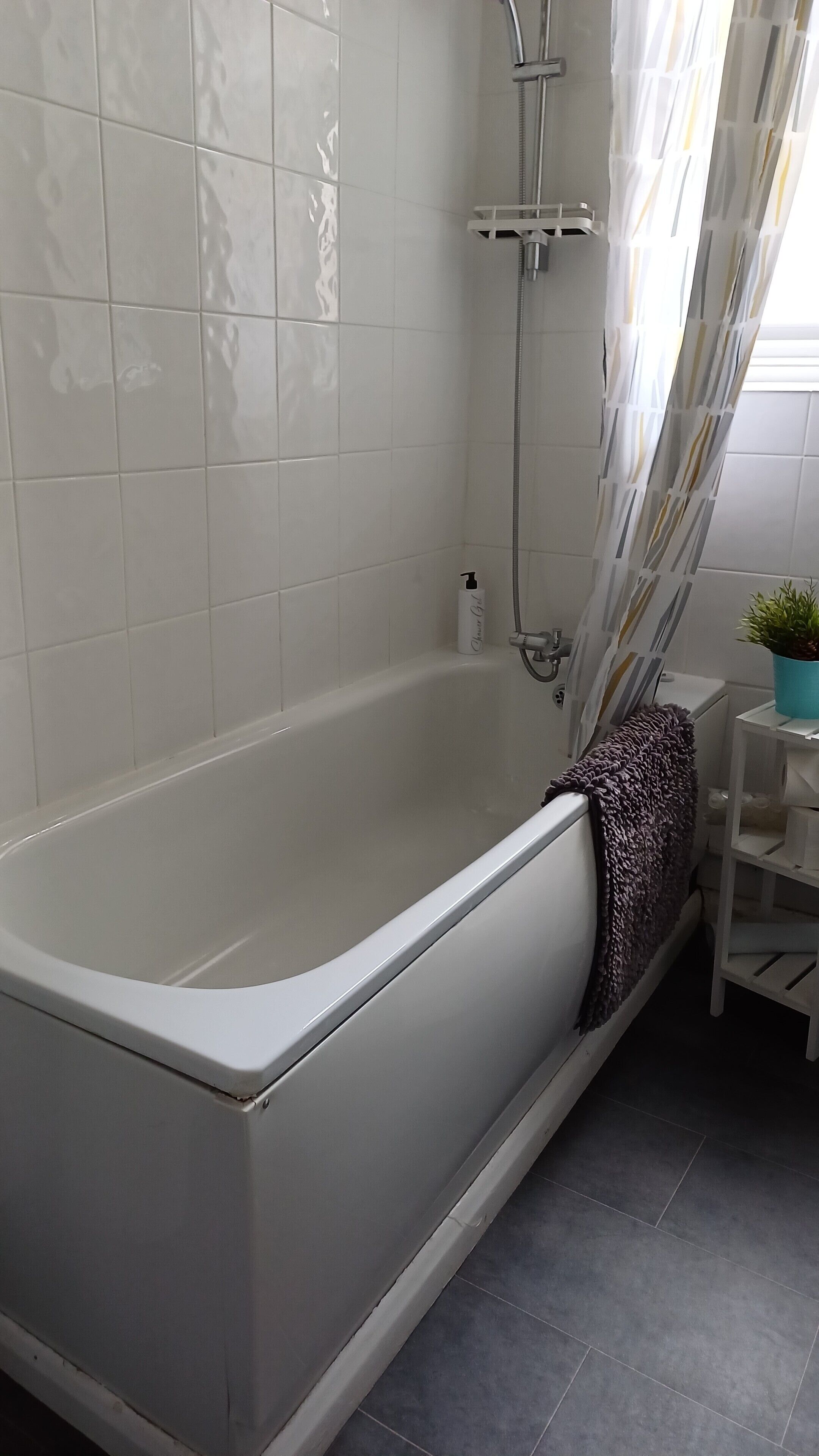 Une salle de bain moderne avec une baignoire blanche, un espace douche et une petite étagère sur laquelle est posée une plante en pot.