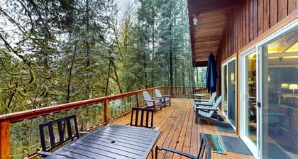 Secluded dog-friendly cabin with two fireplaces, washer/dryer, deck & firepit