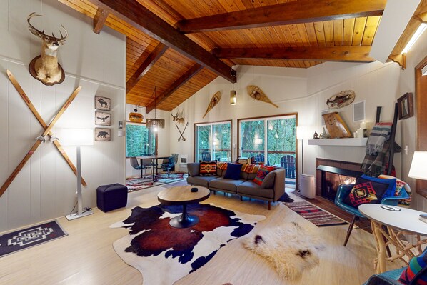 TV, fireplace, books