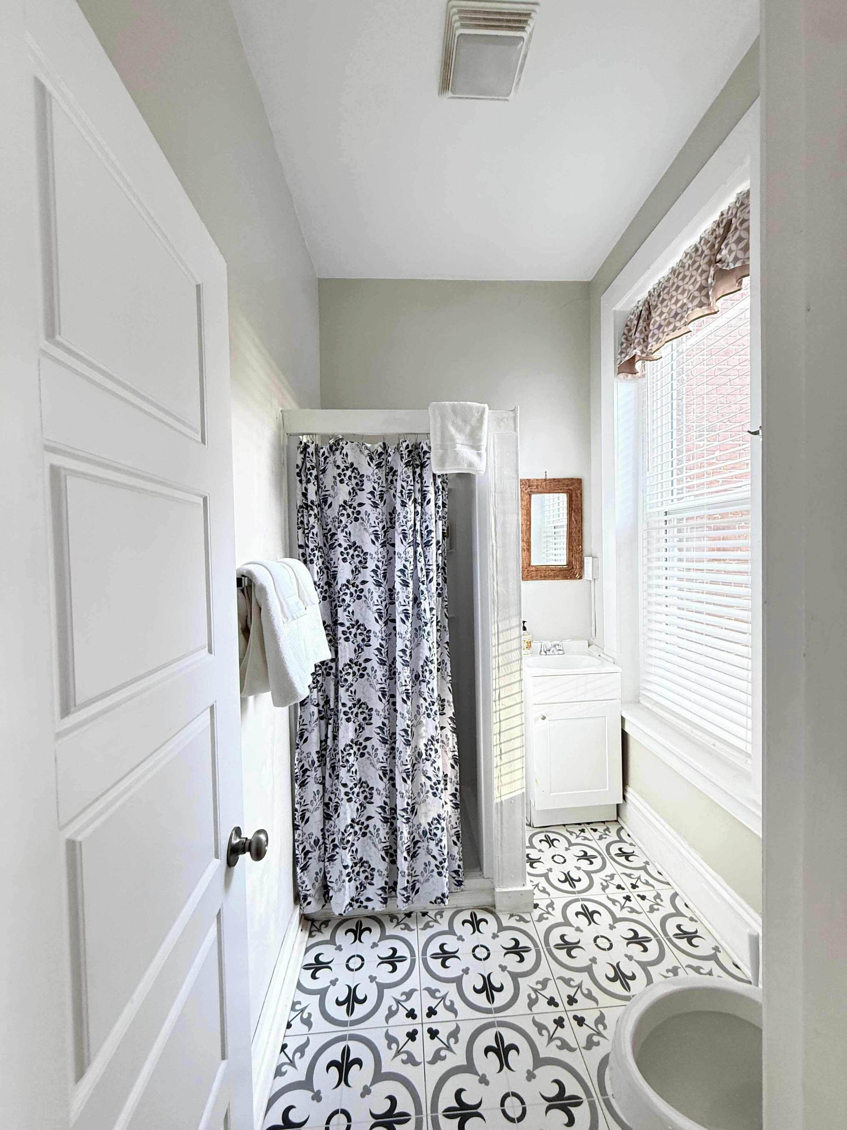 Shower, hair dryer, shampoo