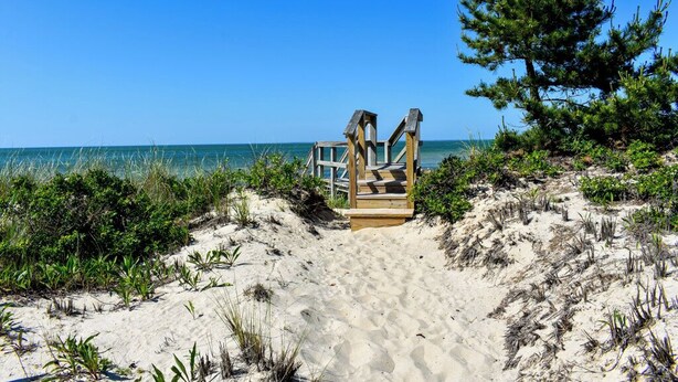 A wooden beach structure with a staircase leading to a platform, surrounded by sand and vegetation. - Four bedroom home within walking distance to Bayside Brewster beaches! (Brewster)