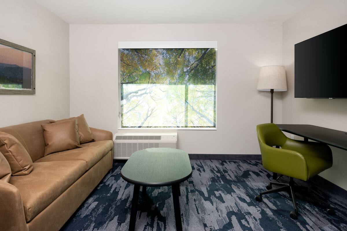 Habitación de hotel con un sofá marrón, una silla verde, una mesita, un televisor y una ventana con vistas a árboles.