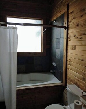 Combined shower/tub, hair dryer, towels, toilet paper - The Connie Cabin (Compton)