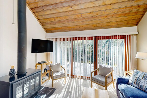 TV, fireplace, DVD player