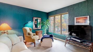 TV, fireplace, DVD player