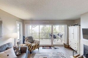 تلفزيون، مدفأة، مشغل دي في دي