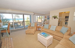 TV, fireplace, DVD player - Beachfront condo with gorgeous Lake Michigan views, deck, fireplace, W/D, AC (Glen Arbor)