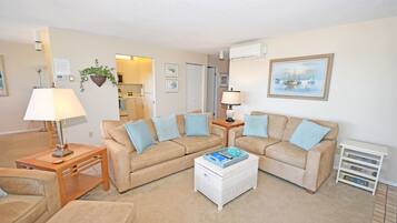 TV, fireplace, DVD player