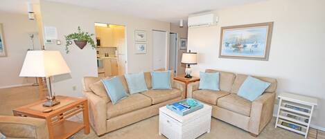 Télévision, cheminée, lecteur de DVD