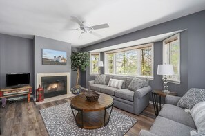 TV, fireplace, DVD player - Spacious home with studio, lake access, sunroom, fireplace, W/D, & central AC (Glen Arbor)