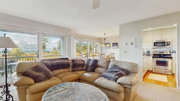 電視、壁爐、Netflix、DVD 播放機