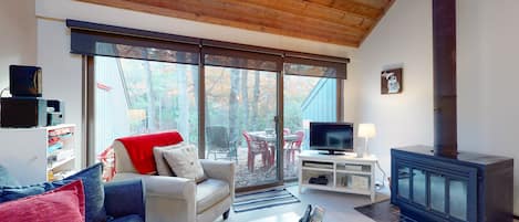 TV, fireplace, DVD player