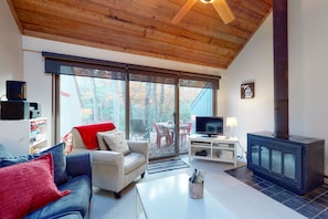 Televisión, chimenea y reproductor de DVD