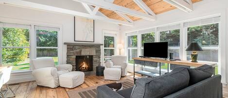 Télévision, cheminée, lecteur de DVD, chaîne hi-fi