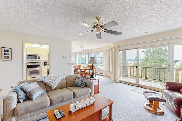 TV, fireplace, DVD player