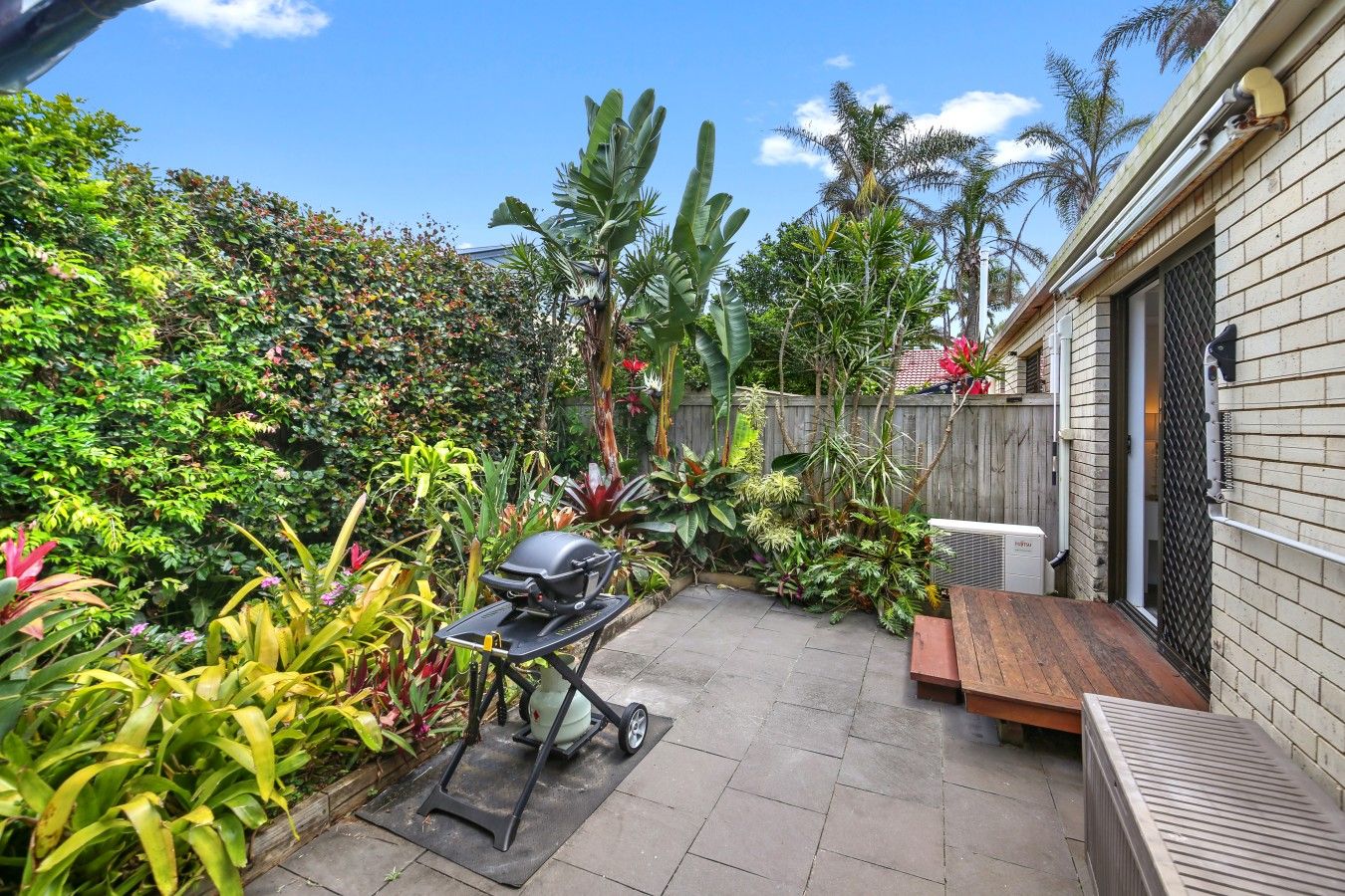 A patio with a barbecue grill, a wooden bench, and various tropical plants.