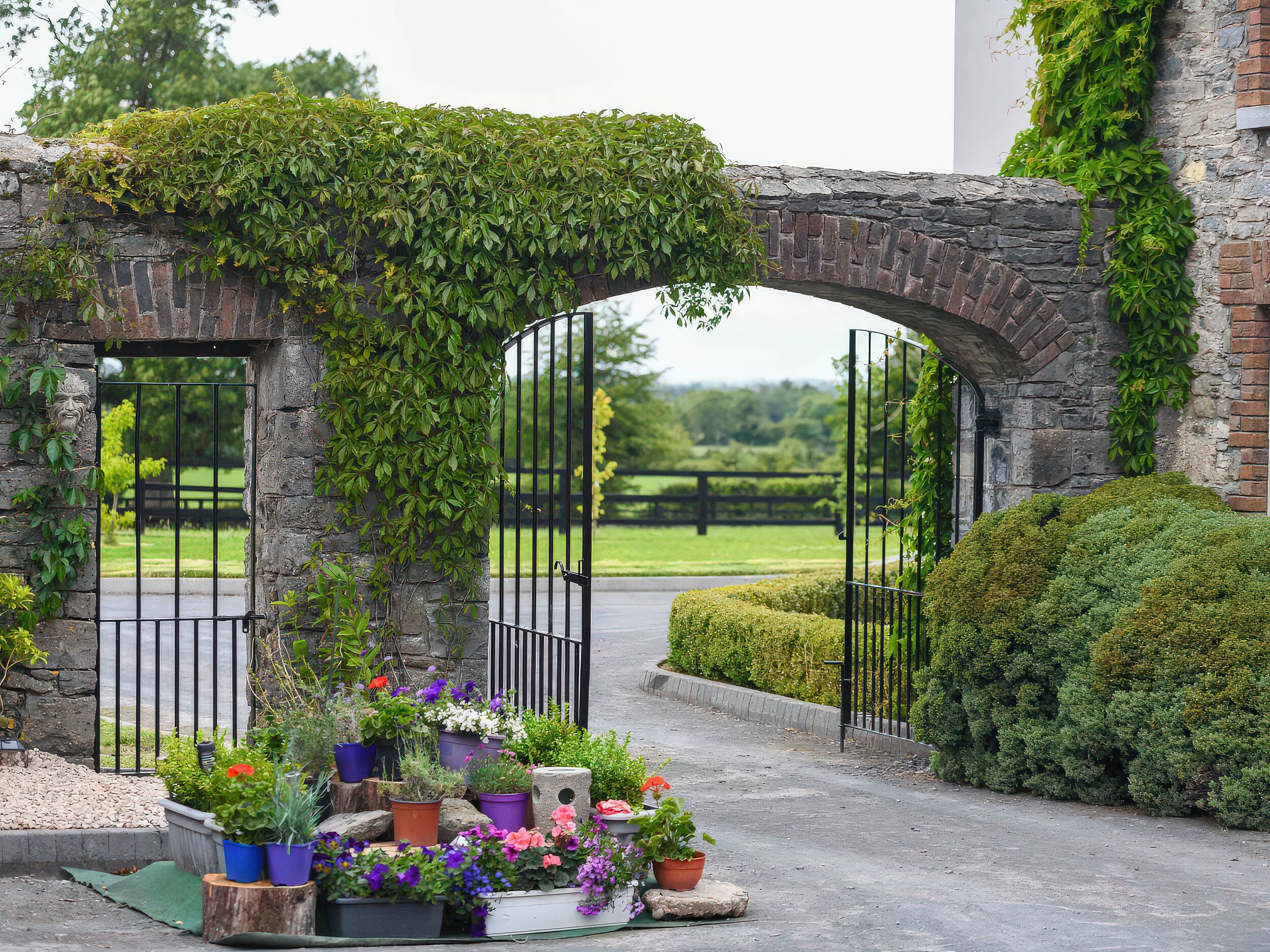 Cottage | Property grounds