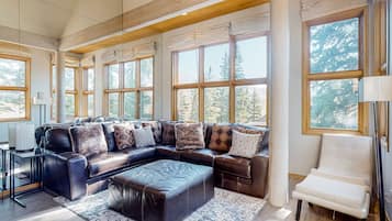 TV, fireplace, books