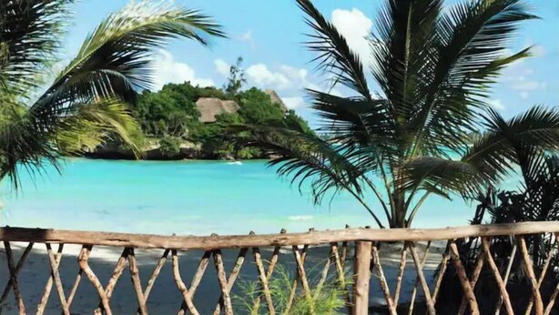 Ein Holzzaun mit Blick auf einen Strand und Palmen.