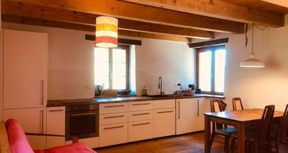 Maison de vacances Rasa pour 1 - 4 personnes avec 1 chambre Ă coucher - Ferme
