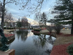 A serene park with a pond, trees, and a playground in the background.