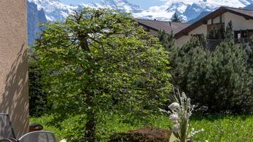 Une terrasse avec une table dressée pour le repas, des chaises et une vue sur des montagnes enneigées.