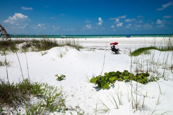 A beach with white sand, sparse vegetation, and a clear blue sky.