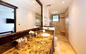 Shower, hair dryer, towels, shampoo - 360 Splendor 101B-Studio with Breakfast Included (360 Splendor)