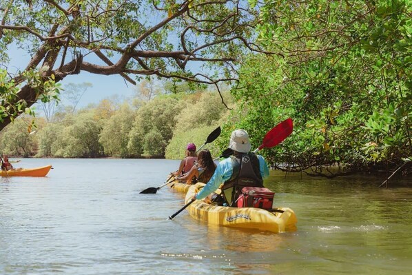 Kayak Tour by BZE - 360 Splendor 101F-Condo with Breakfast Included (360 Splendor)