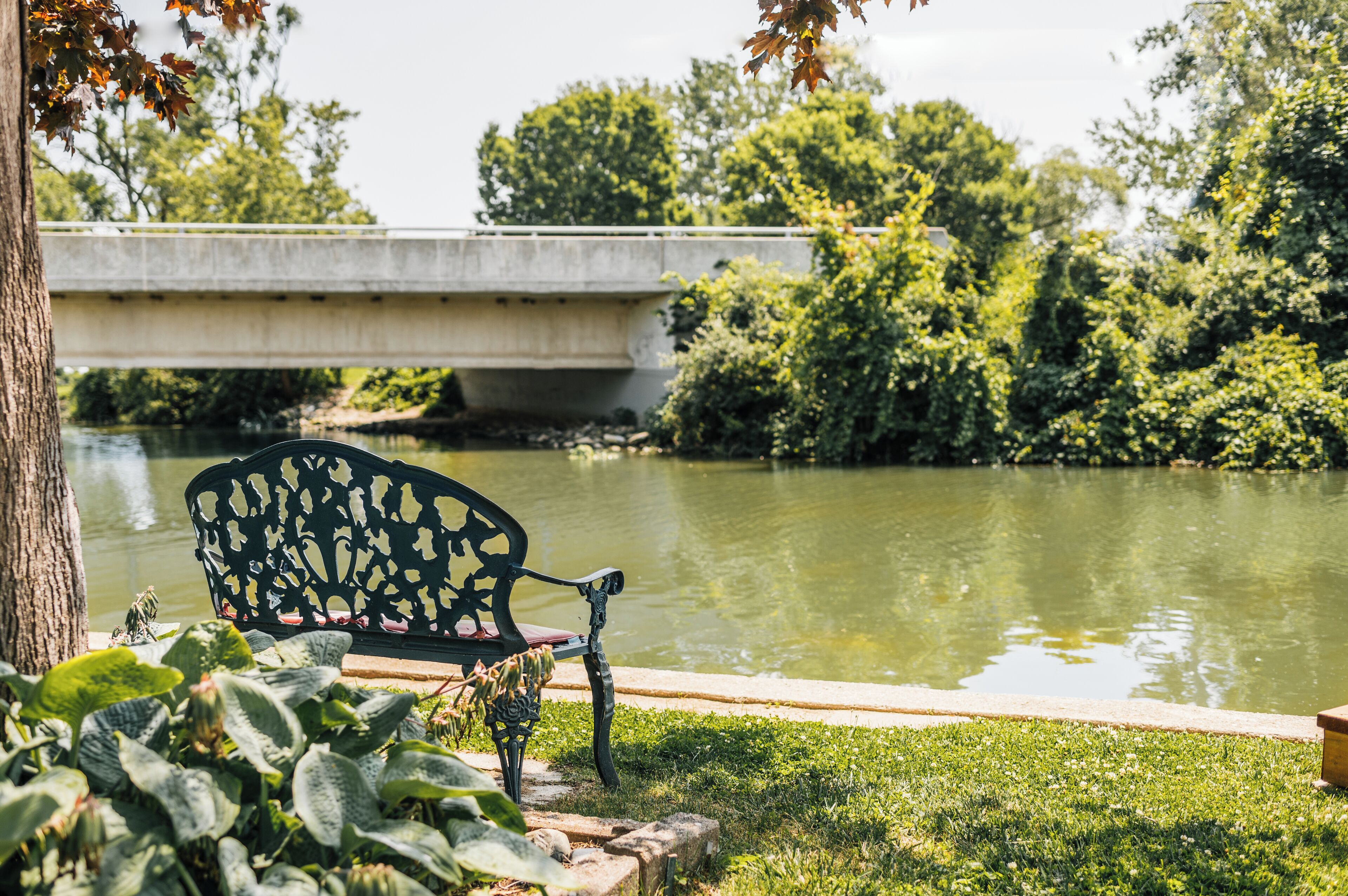 Un banco junto a un río con un puente al fondo.