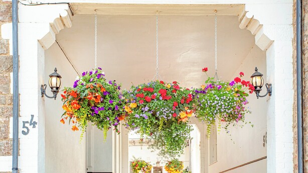 Un couloir orné de suspensions florales et de lanternes fixées aux murs.