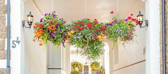 The Coach House at Vane Hill